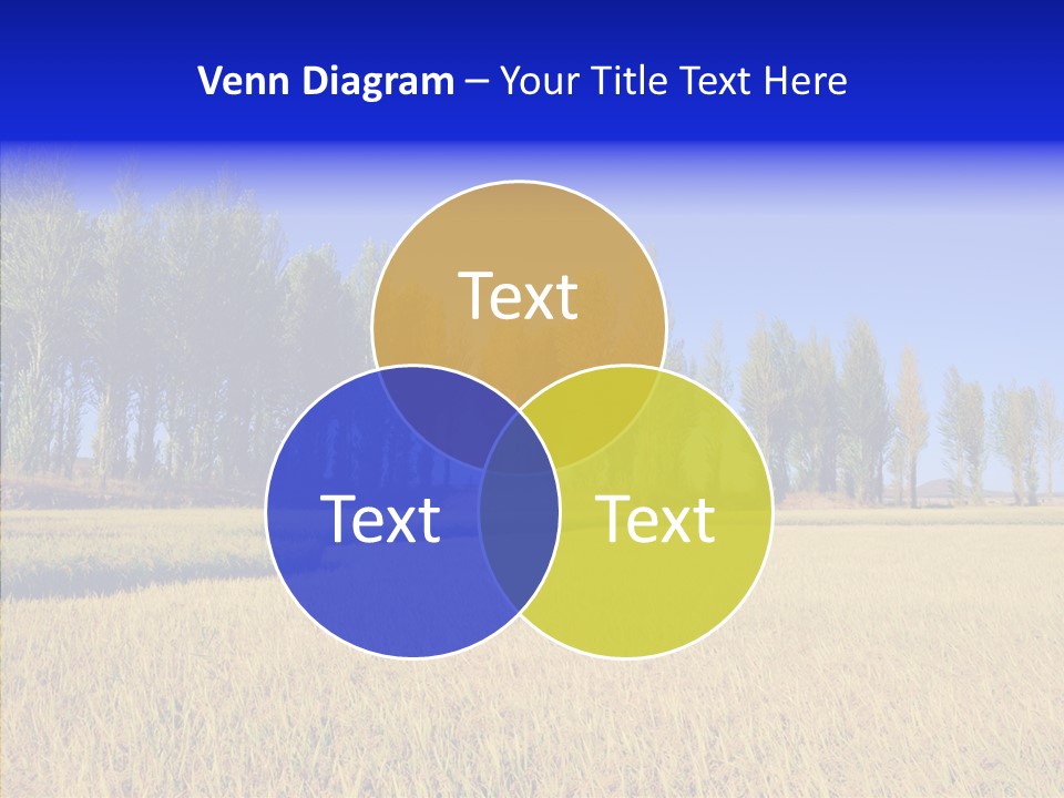 Charming Rice Meadow PowerPoint Template