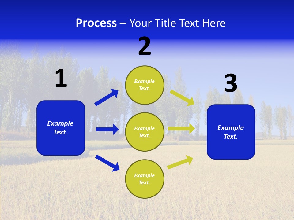 Charming Rice Meadow PowerPoint Template