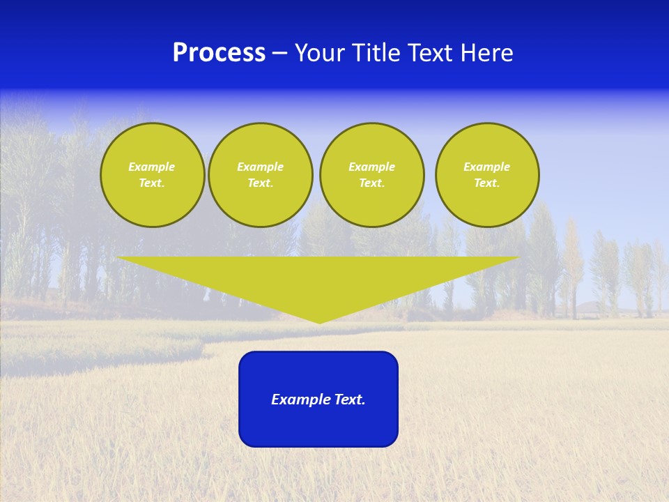 Charming Rice Meadow PowerPoint Template