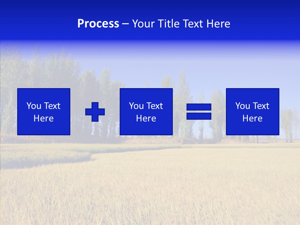 Charming Rice Meadow PowerPoint Template