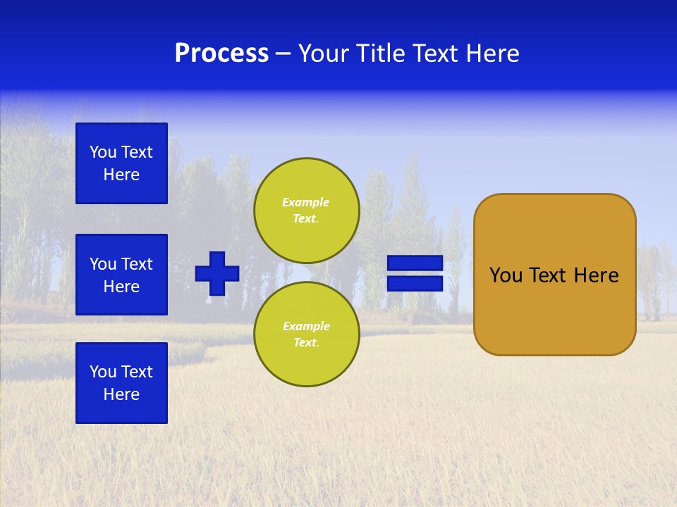 Charming Rice Meadow PowerPoint Template
