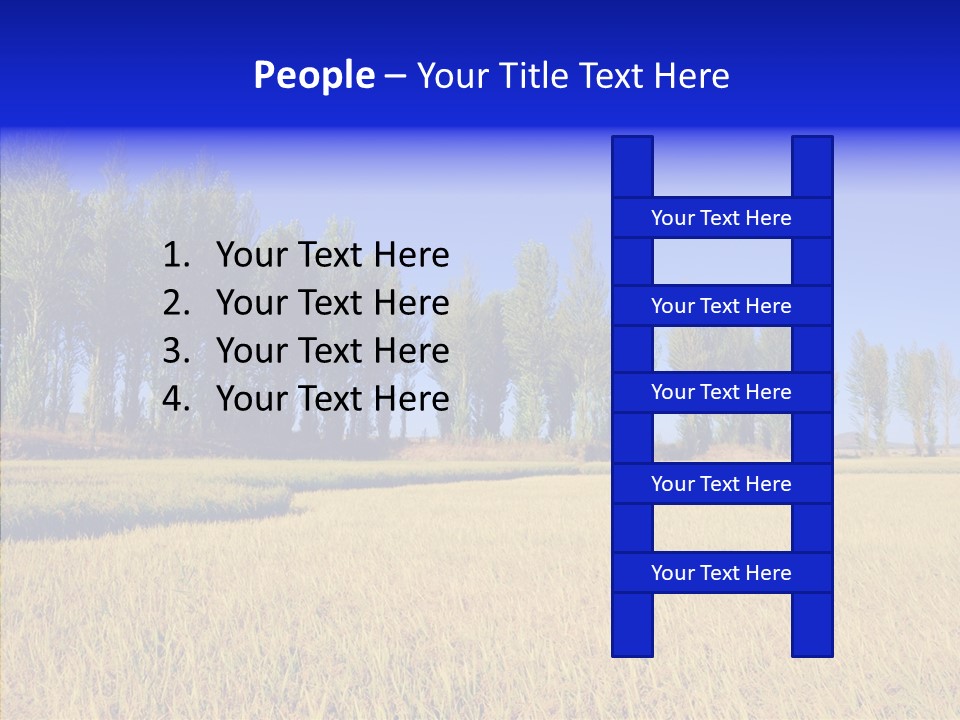 Charming Rice Meadow PowerPoint Template