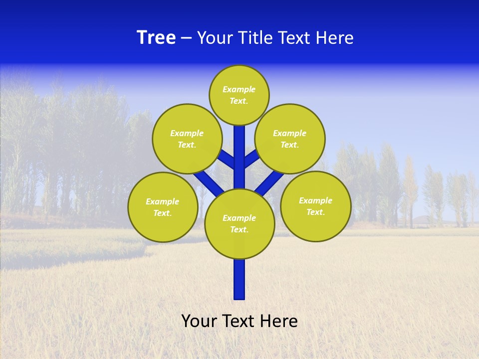 Charming Rice Meadow PowerPoint Template