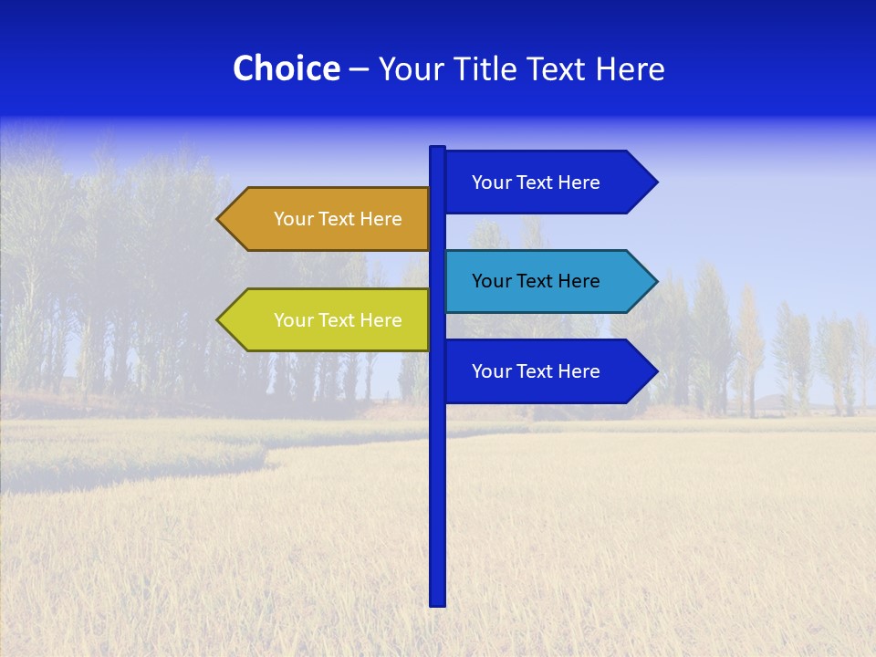 Charming Rice Meadow PowerPoint Template