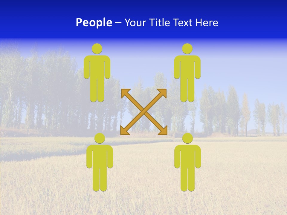 Charming Rice Meadow PowerPoint Template