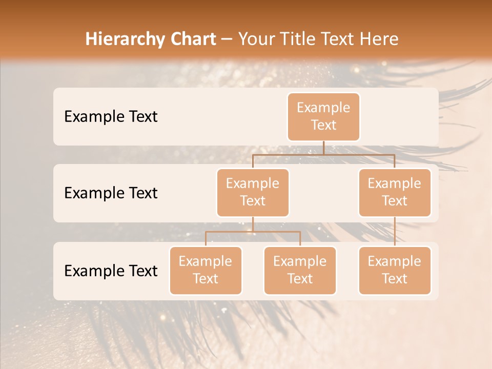Eyebrow Eye Shadow Closed PowerPoint Template