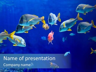 Nature Colony Vitality PowerPoint Template