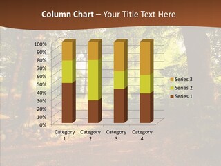 Panorama Scene Relax PowerPoint Template