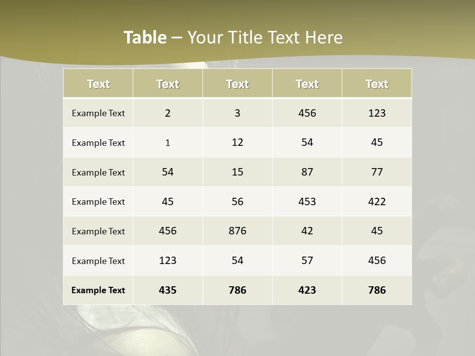 Boardroom Meeting Conference PowerPoint Template