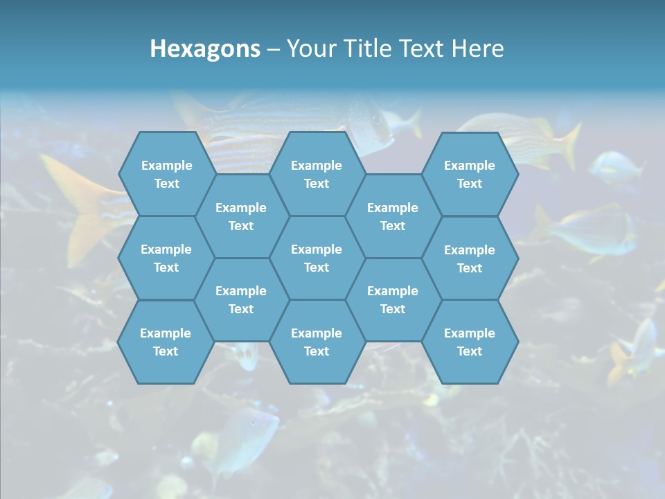 Invertebrate Tropical Bottom PowerPoint Template