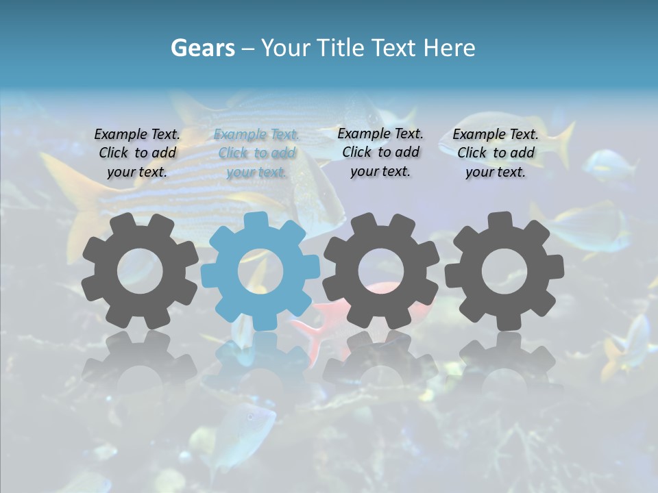 Invertebrate Tropical Bottom PowerPoint Template