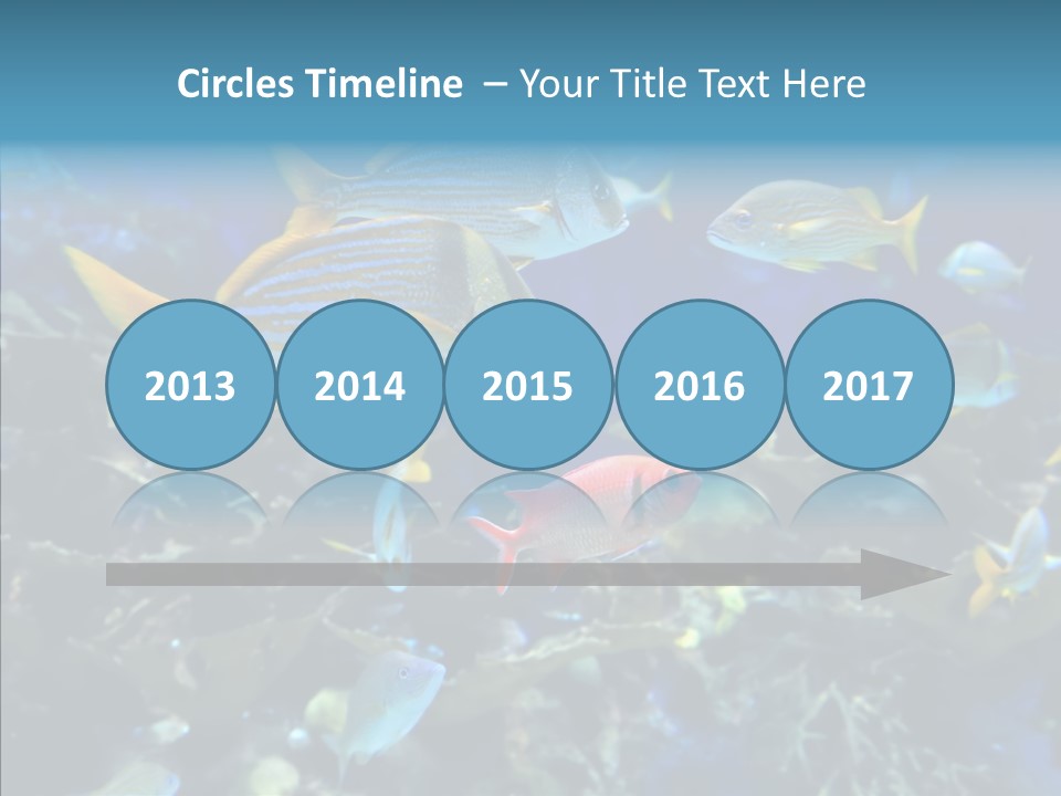 Invertebrate Tropical Bottom PowerPoint Template