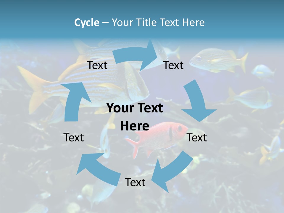 Invertebrate Tropical Bottom PowerPoint Template