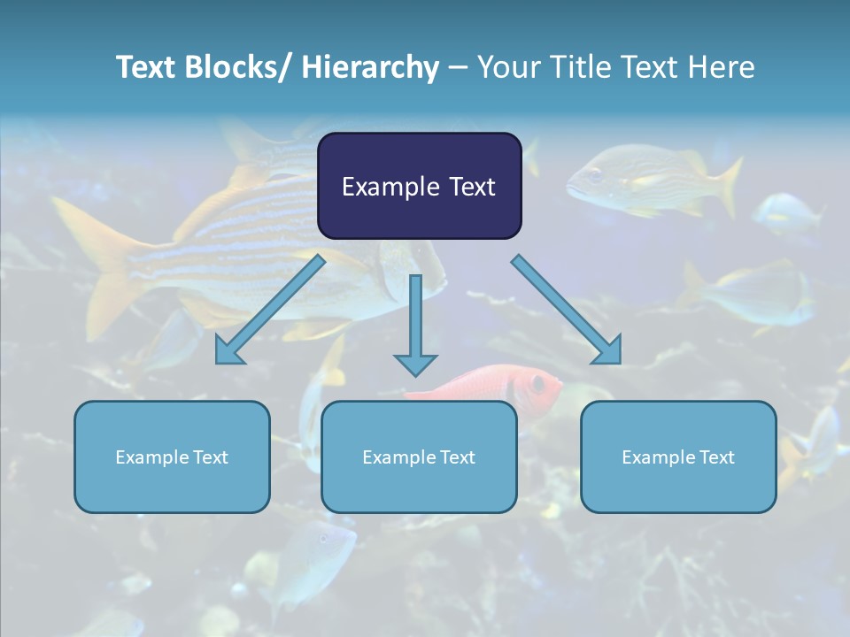 Invertebrate Tropical Bottom PowerPoint Template