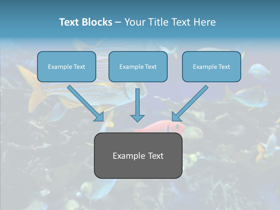 Invertebrate Tropical Bottom PowerPoint Template