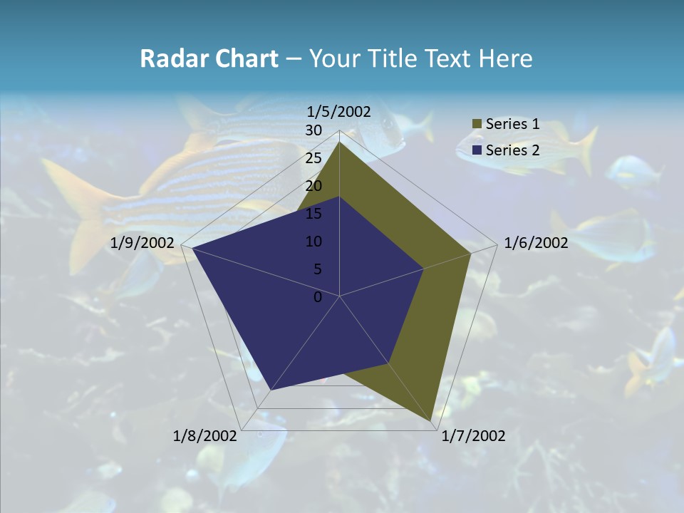 Invertebrate Tropical Bottom PowerPoint Template