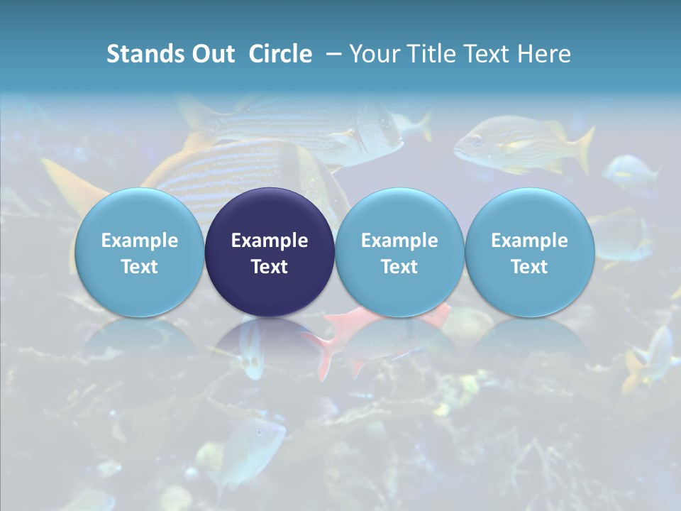 Invertebrate Tropical Bottom PowerPoint Template