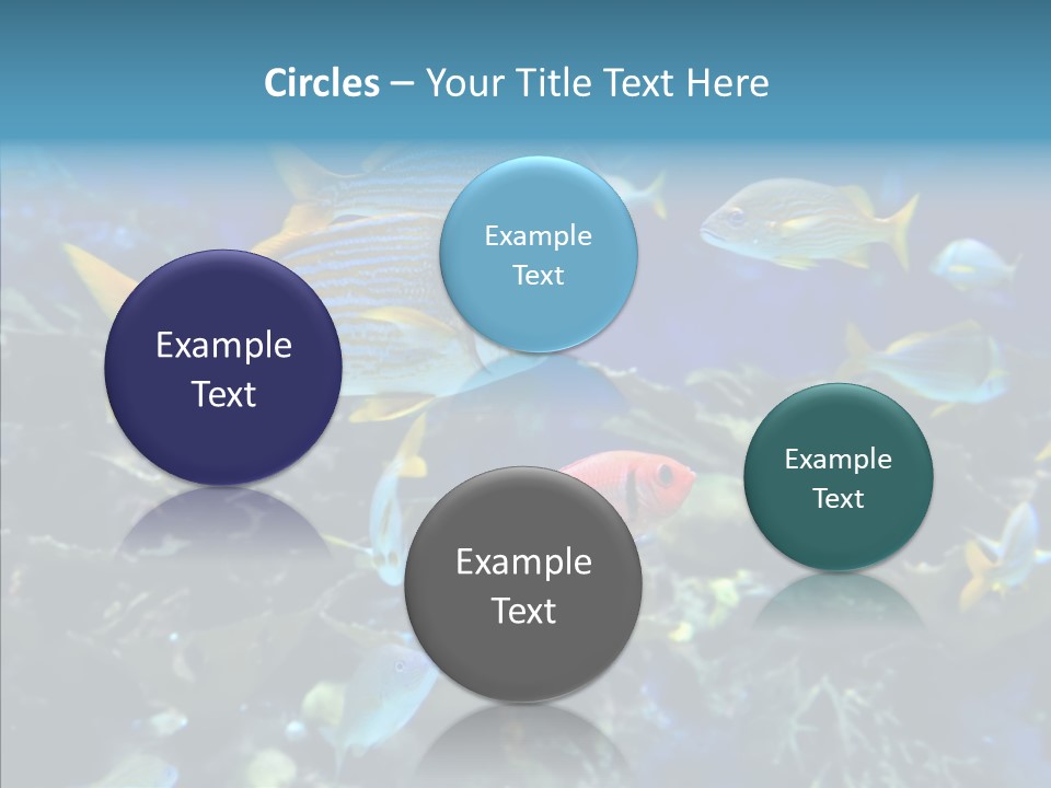 Invertebrate Tropical Bottom PowerPoint Template