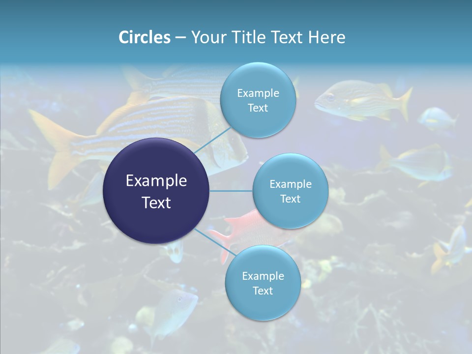 Invertebrate Tropical Bottom PowerPoint Template