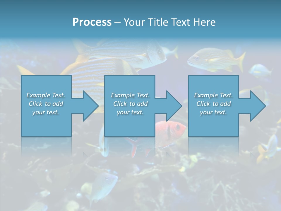 Invertebrate Tropical Bottom PowerPoint Template
