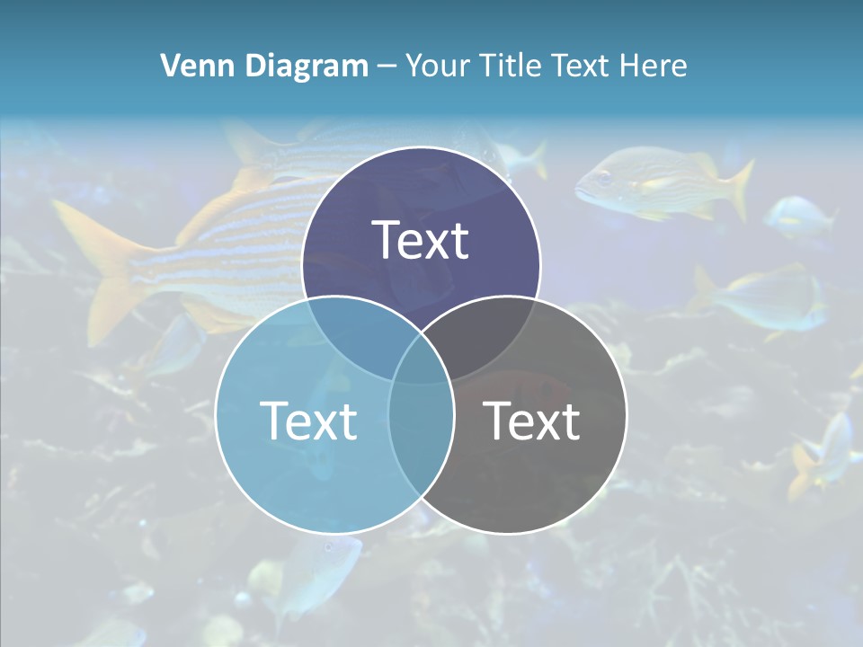 Invertebrate Tropical Bottom PowerPoint Template