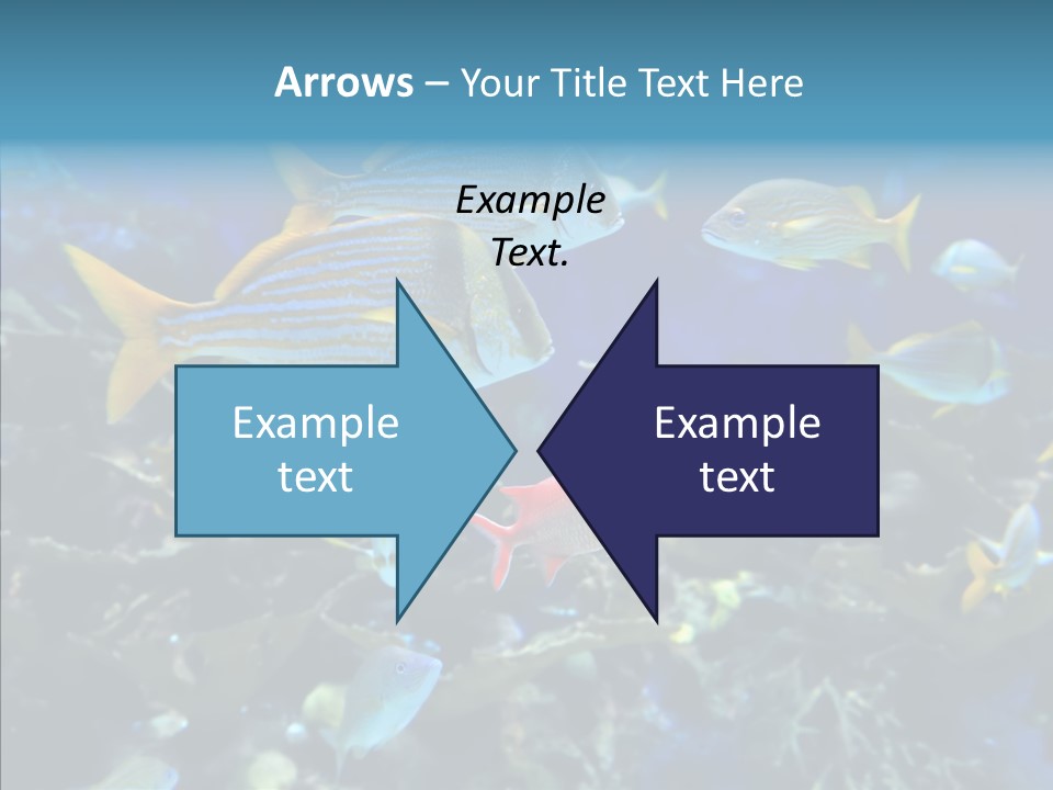 Invertebrate Tropical Bottom PowerPoint Template