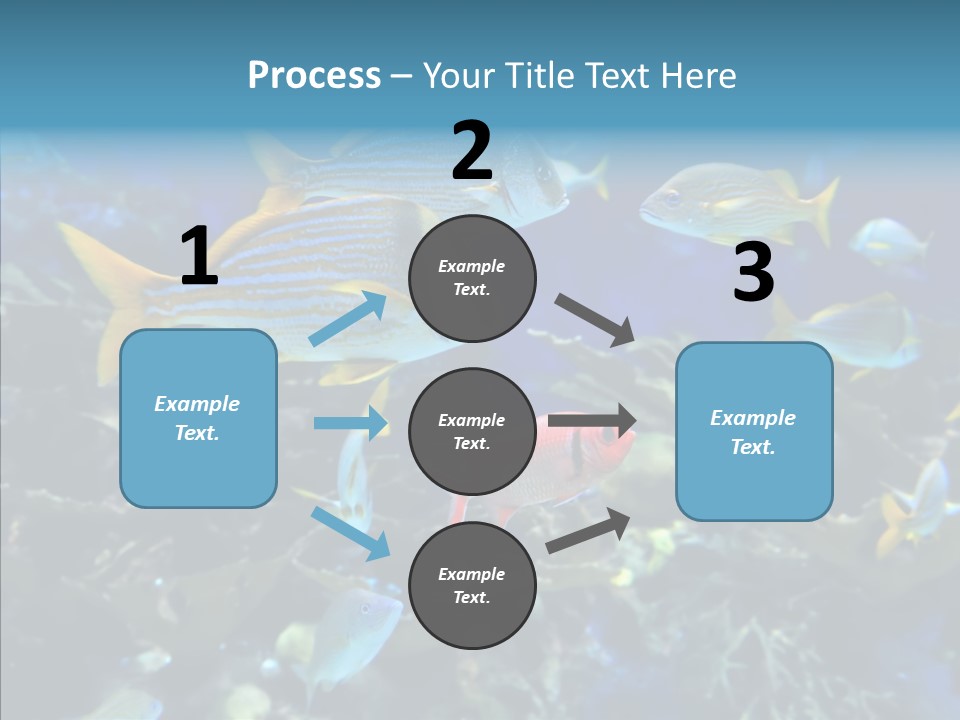 Invertebrate Tropical Bottom PowerPoint Template
