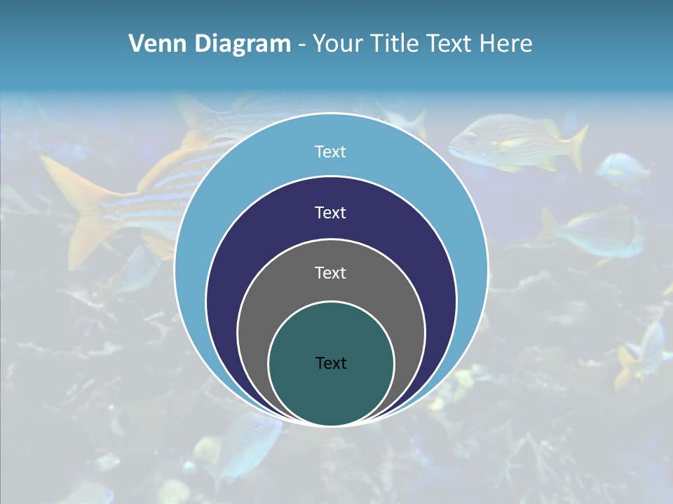 Invertebrate Tropical Bottom PowerPoint Template