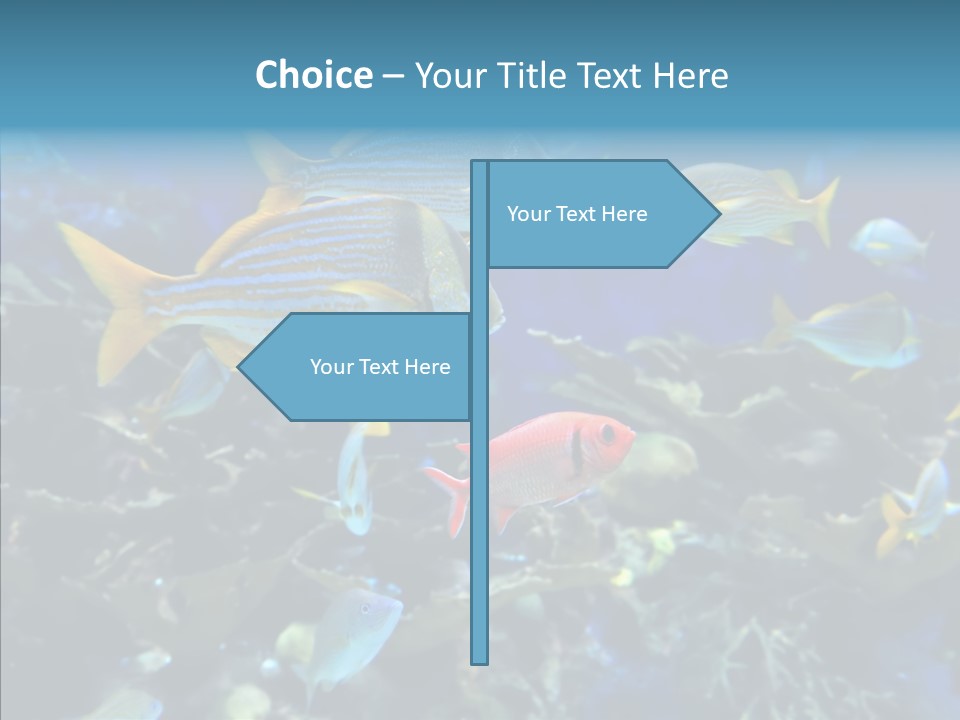 Invertebrate Tropical Bottom PowerPoint Template