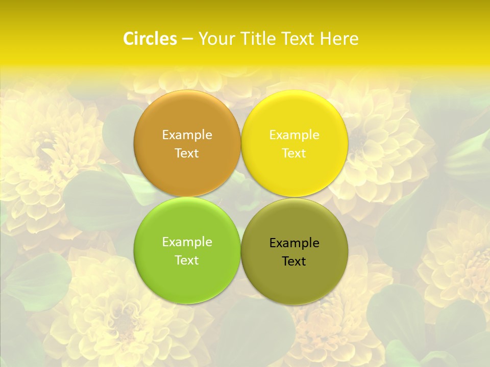 Red White Fresh PowerPoint Template