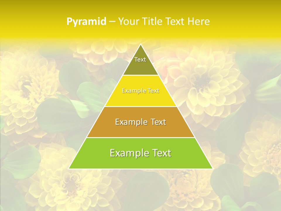 Red White Fresh PowerPoint Template