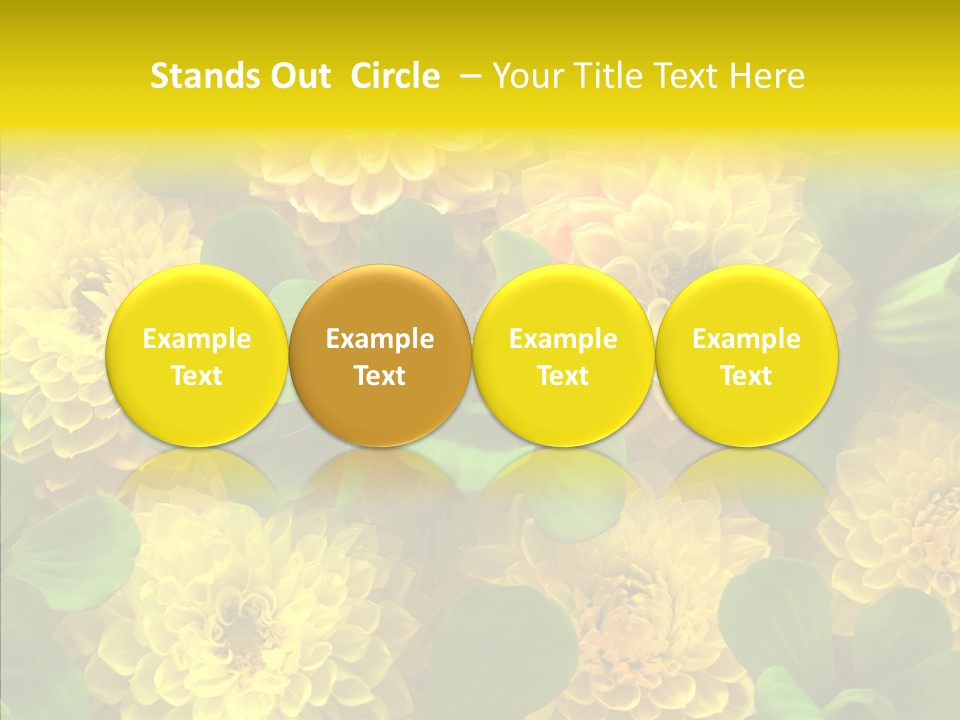 Red White Fresh PowerPoint Template