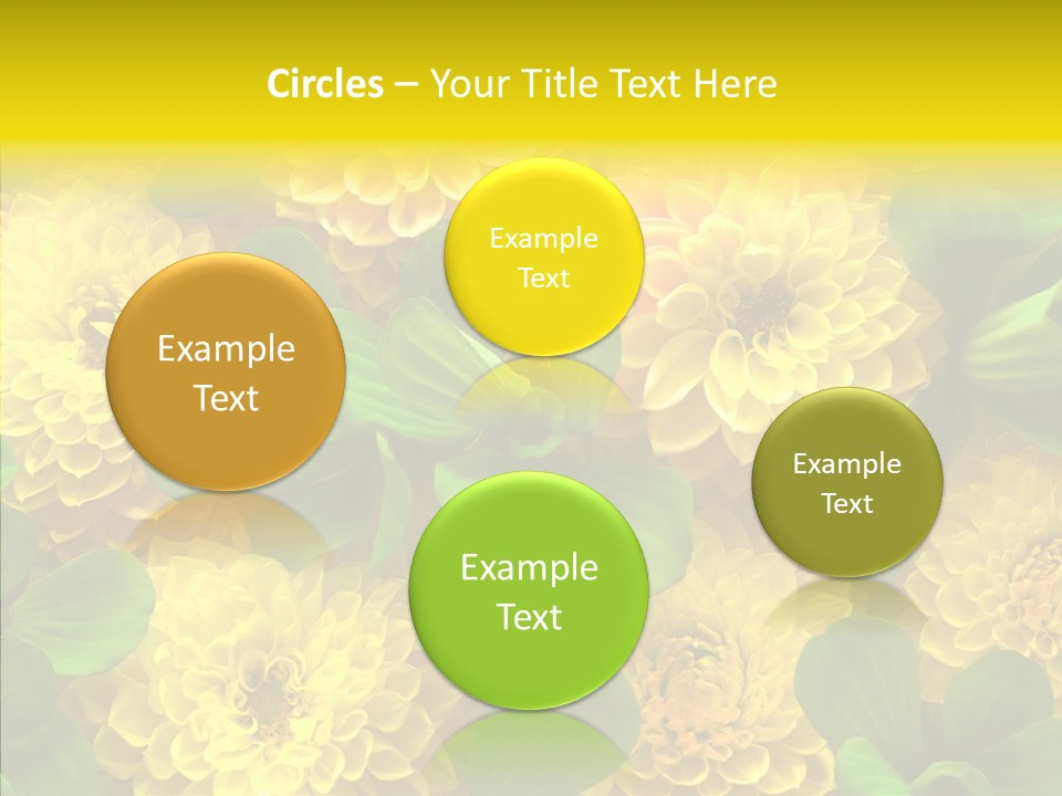 Red White Fresh PowerPoint Template