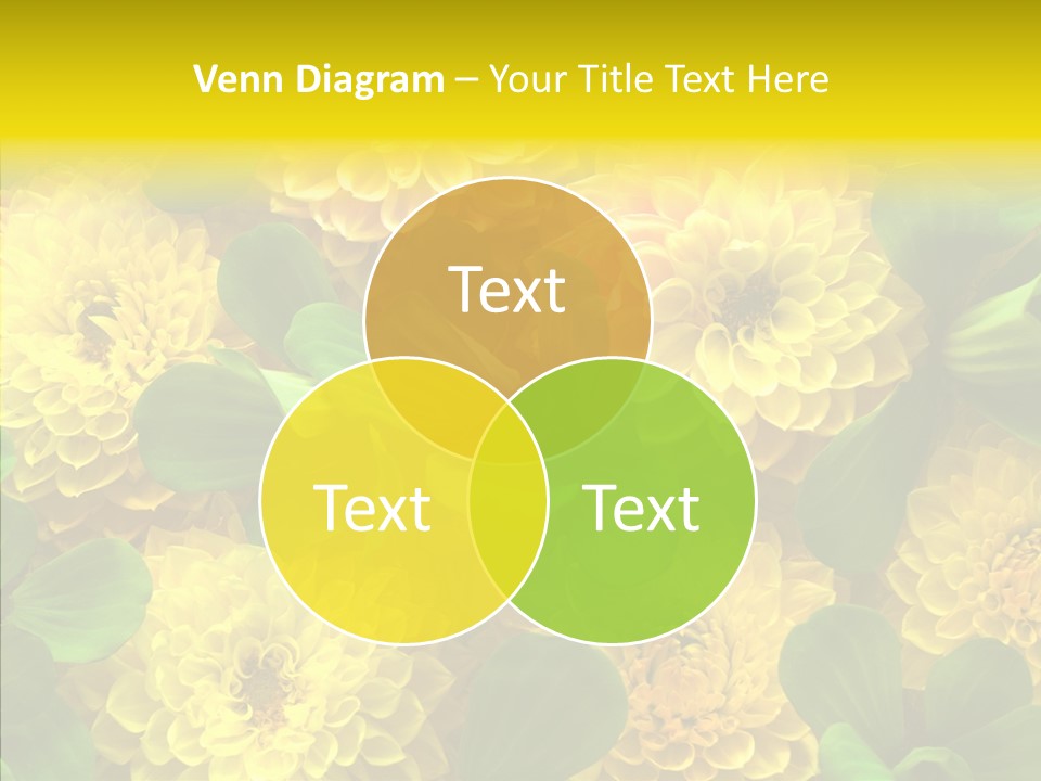 Red White Fresh PowerPoint Template