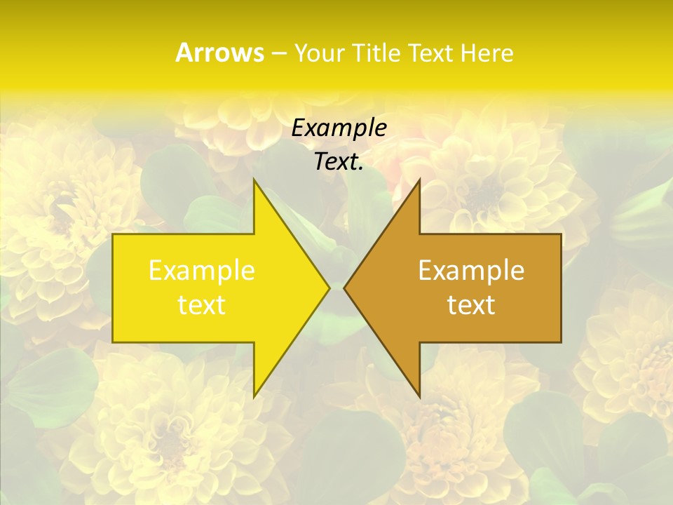 Red White Fresh PowerPoint Template
