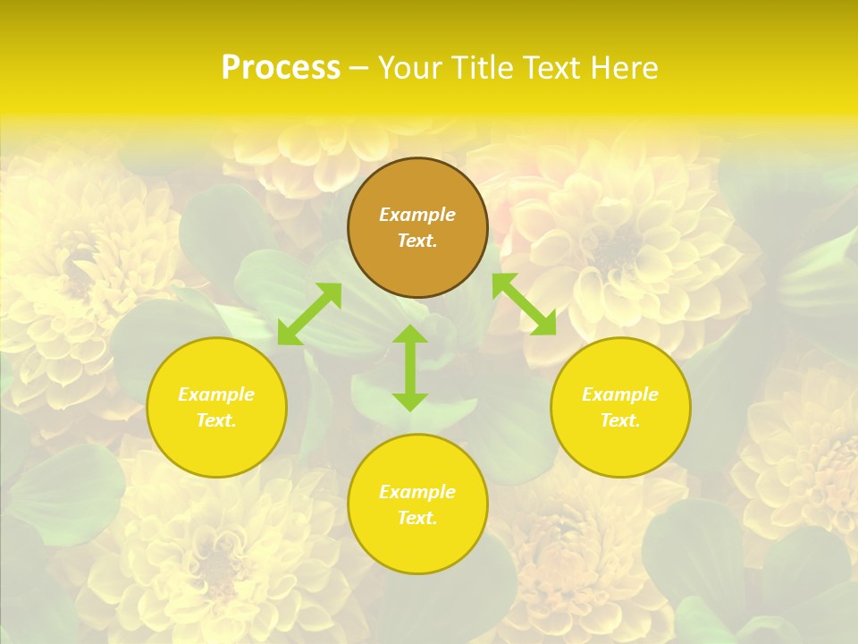 Red White Fresh PowerPoint Template