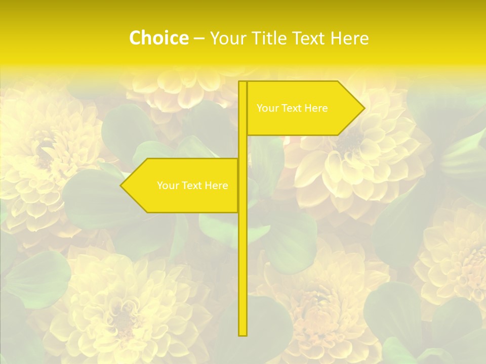 Red White Fresh PowerPoint Template