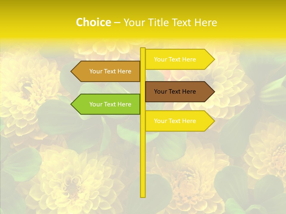 Red White Fresh PowerPoint Template