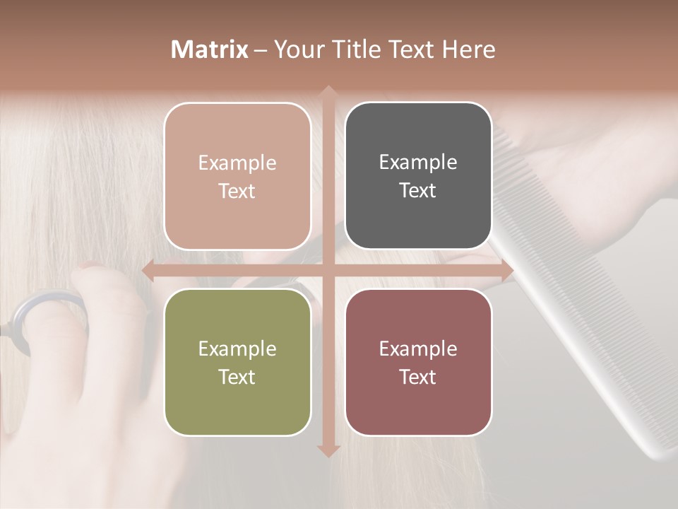 Hairstyle Lady Work PowerPoint Template