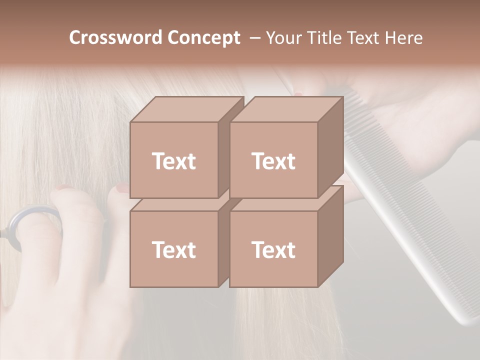 Hairstyle Lady Work PowerPoint Template