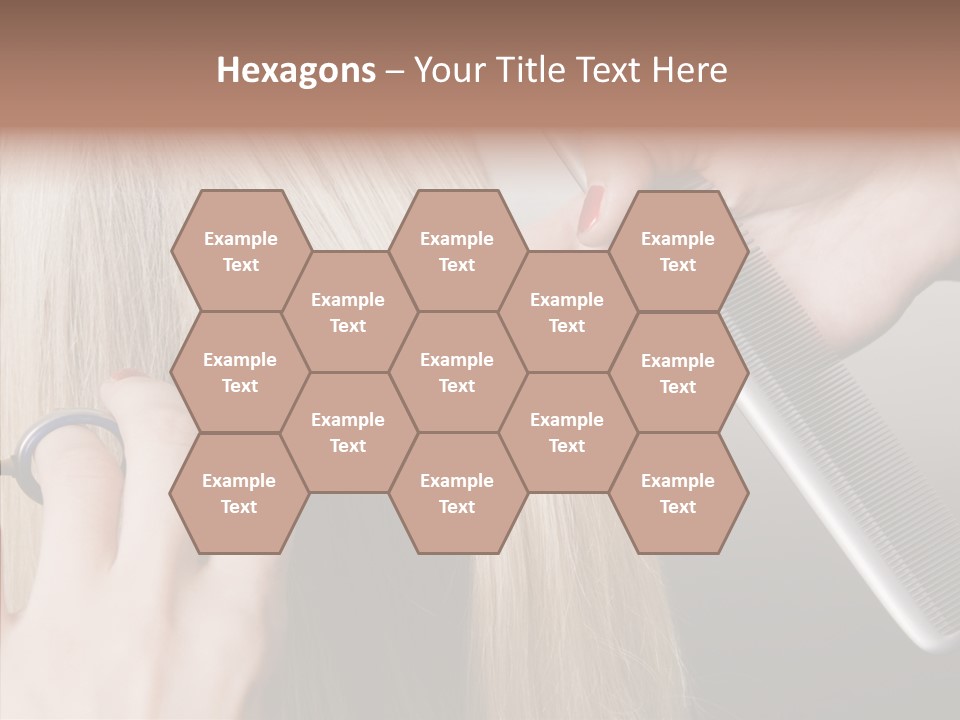 Hairstyle Lady Work PowerPoint Template