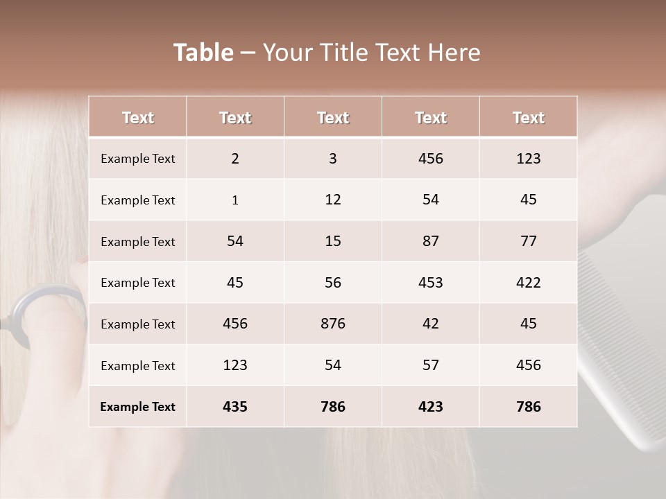 Hairstyle Lady Work PowerPoint Template