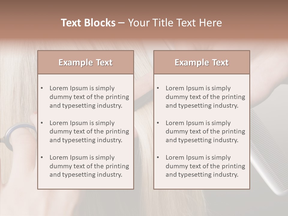 Hairstyle Lady Work PowerPoint Template