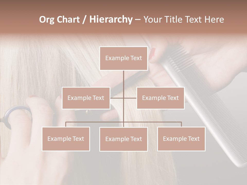 Hairstyle Lady Work PowerPoint Template