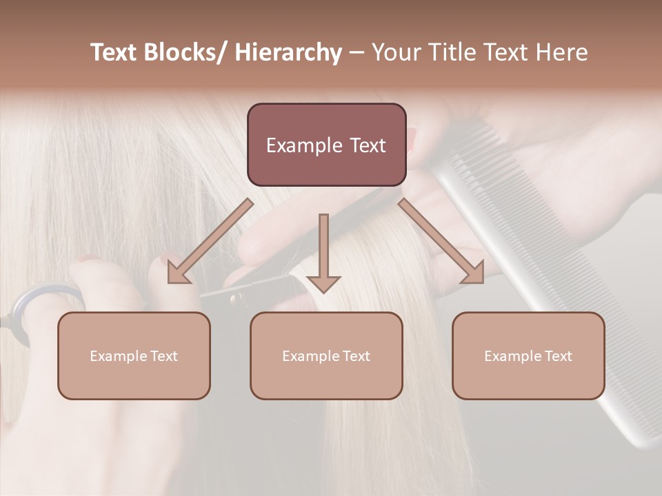 Hairstyle Lady Work PowerPoint Template