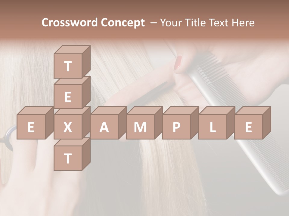 Hairstyle Lady Work PowerPoint Template