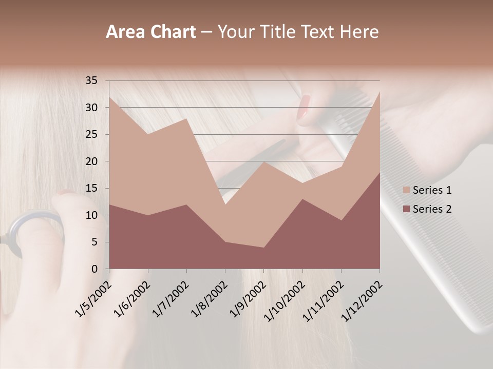 Hairstyle Lady Work PowerPoint Template