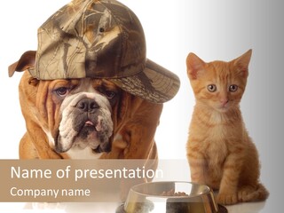 Obedient Friendly Cute PowerPoint Template