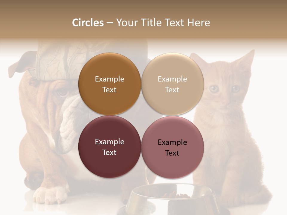 Obedient Friendly Cute PowerPoint Template