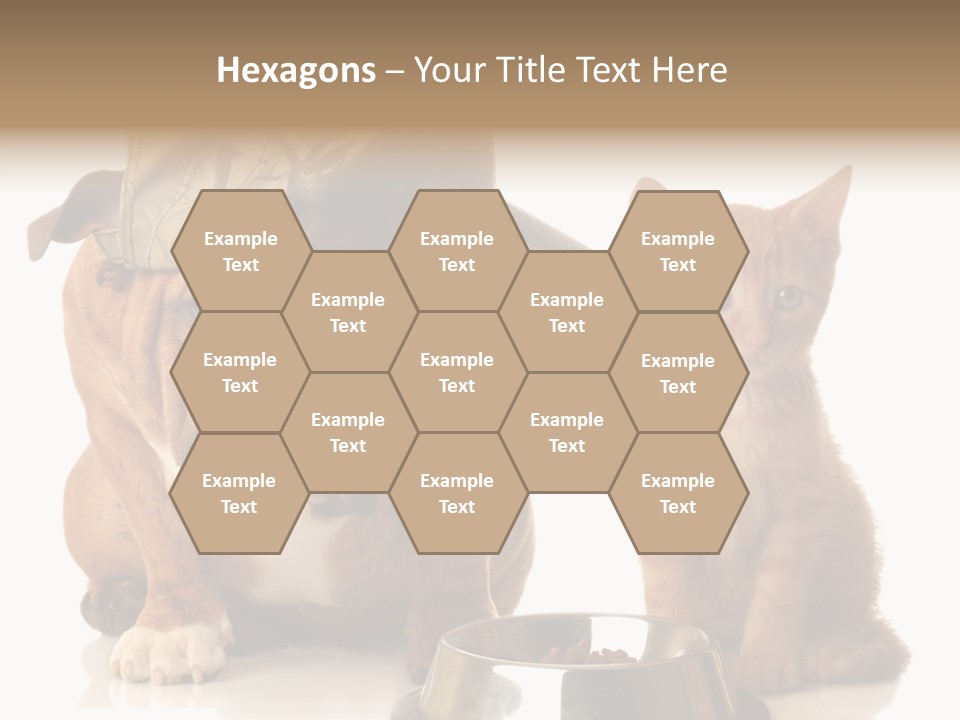 Obedient Friendly Cute PowerPoint Template